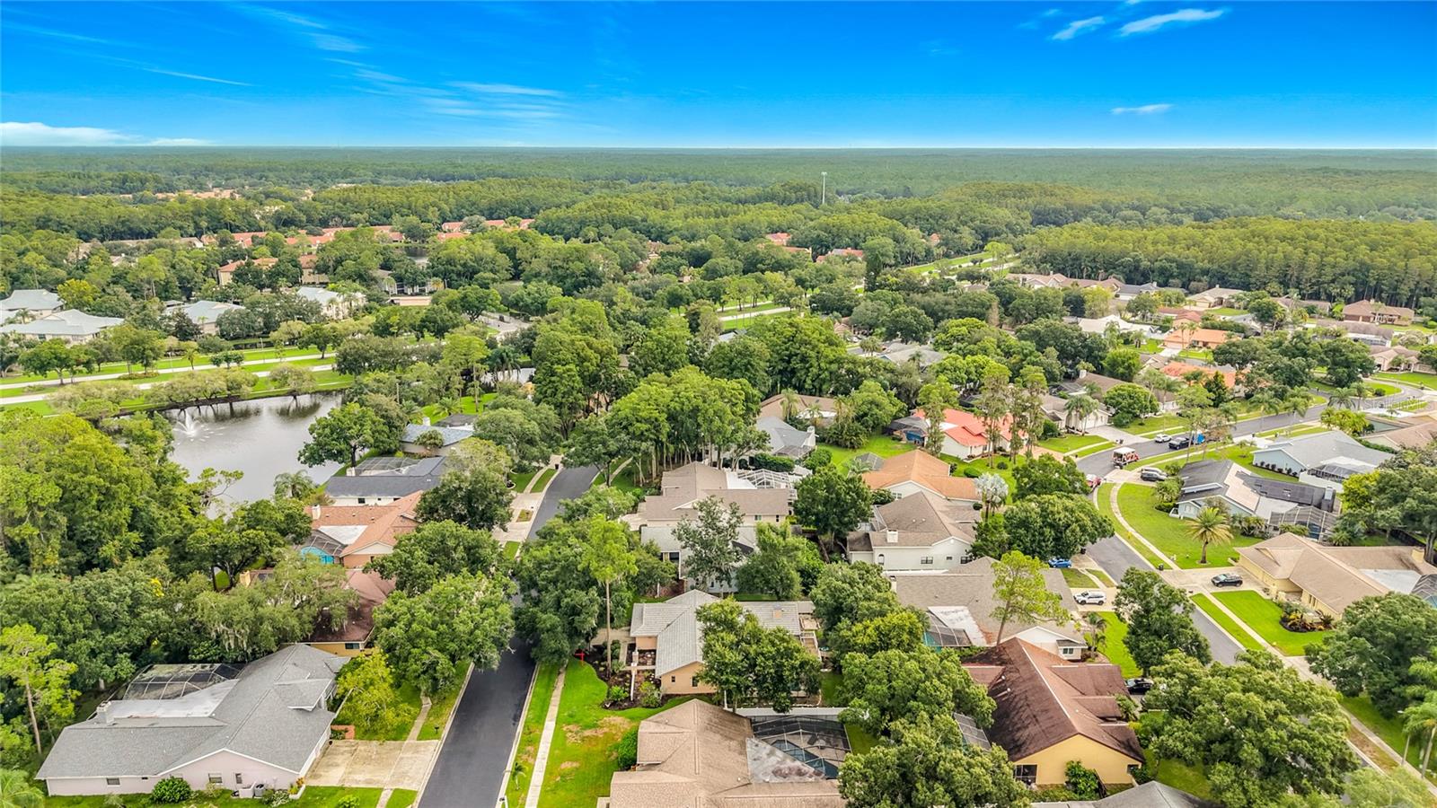 58th image of 3097 Edgemoor Dr, Palm Harbor, FL 34685 | MLS# W7888200