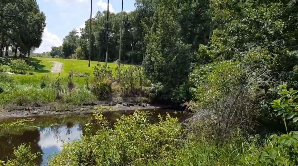 4th image of 9438 Se Hwy 464C Se, Ocklawaha, FL 32179 | MLS# OM729641