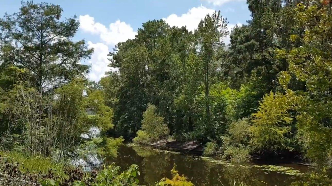 8th image of 9438 Se Hwy 464c Se, Ocklawaha, FL 32179 | MLS# OM729641