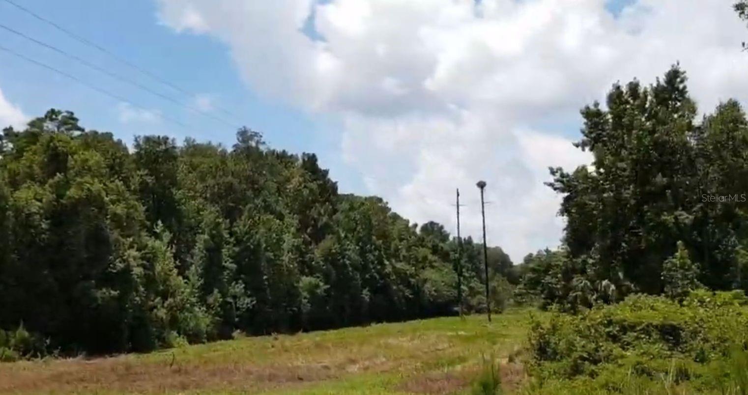 5th image of 9438 Se Hwy 464C Se, Ocklawaha, FL 32179 | MLS# OM729641