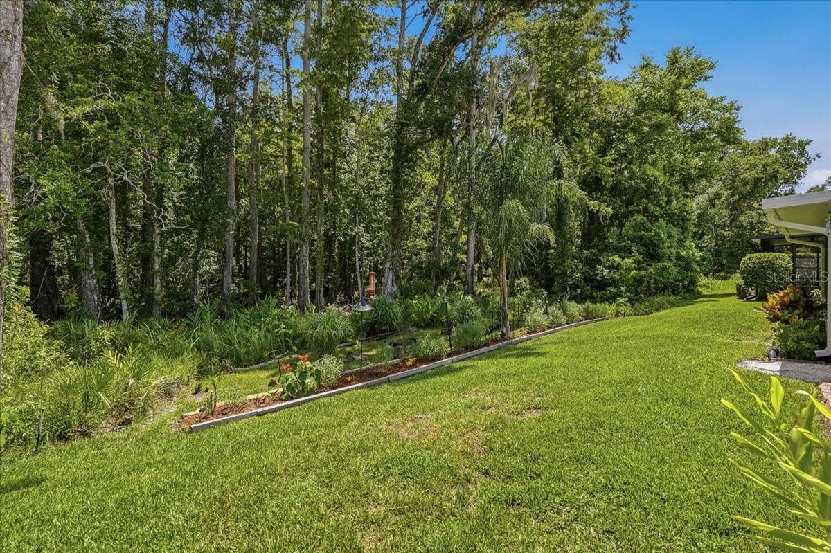 5th image of 11602 White Ash Dr, New Port Richey, FL 34654 | MLS# TB8535279