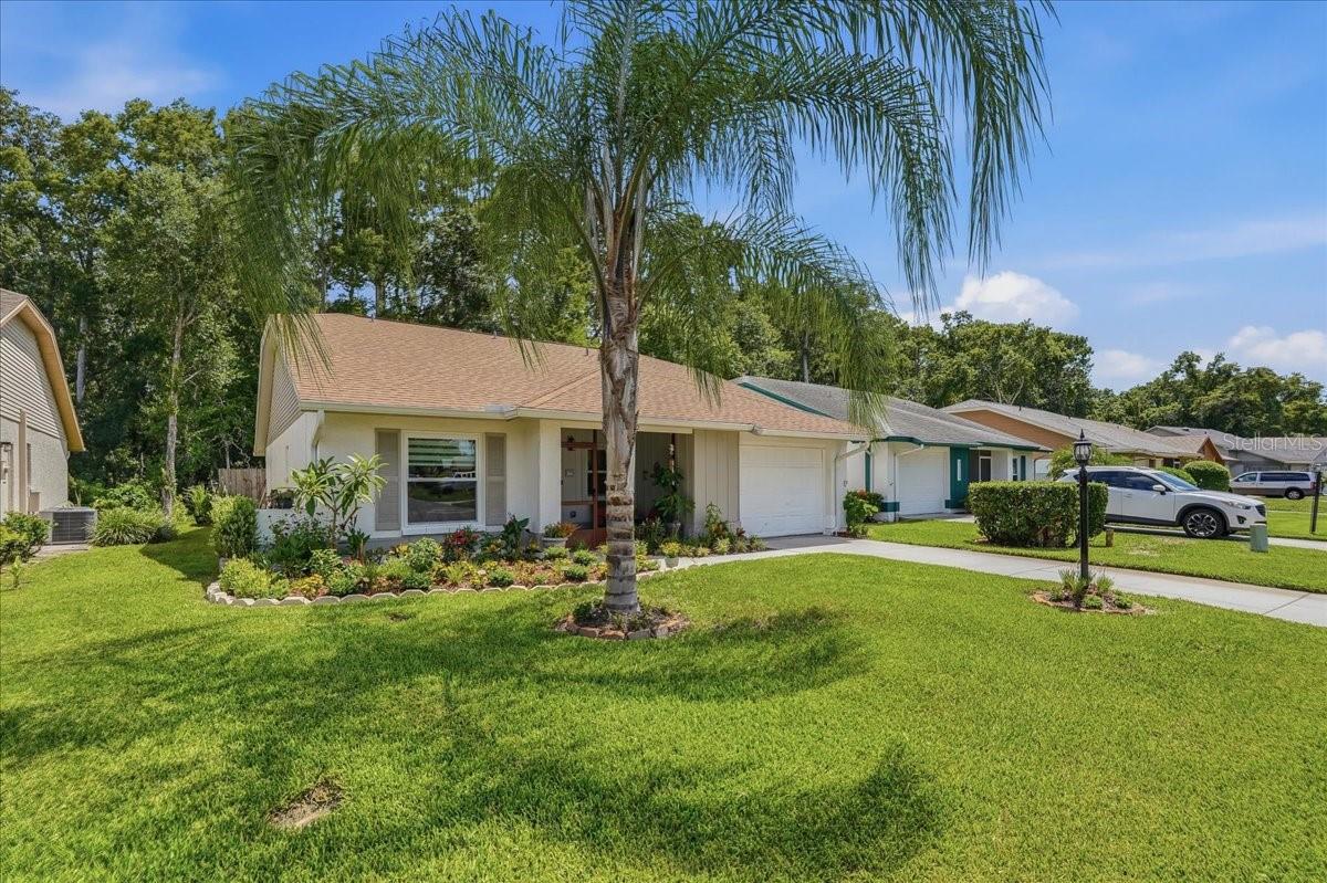 3rd image of 11602 White Ash Dr, New Port Richey, FL 34654 | MLS# TB8535279