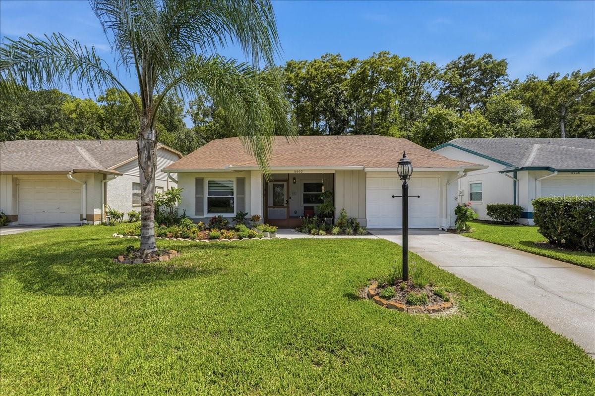 1st image of 11602 White Ash Dr, New Port Richey, FL 34654 | MLS# TB8535279