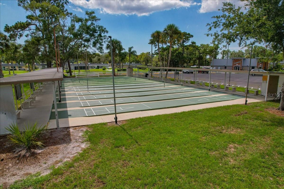58th image of 11602 White Ash Dr, New Port Richey, FL 34654 | MLS# TB8535279