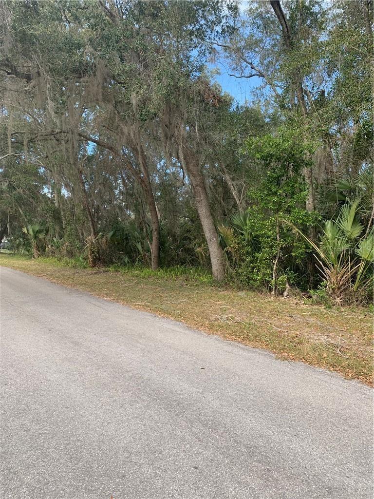 4th image of 1541 Nw 21St St, Crystal River, FL 34428 | MLS# TB8535337