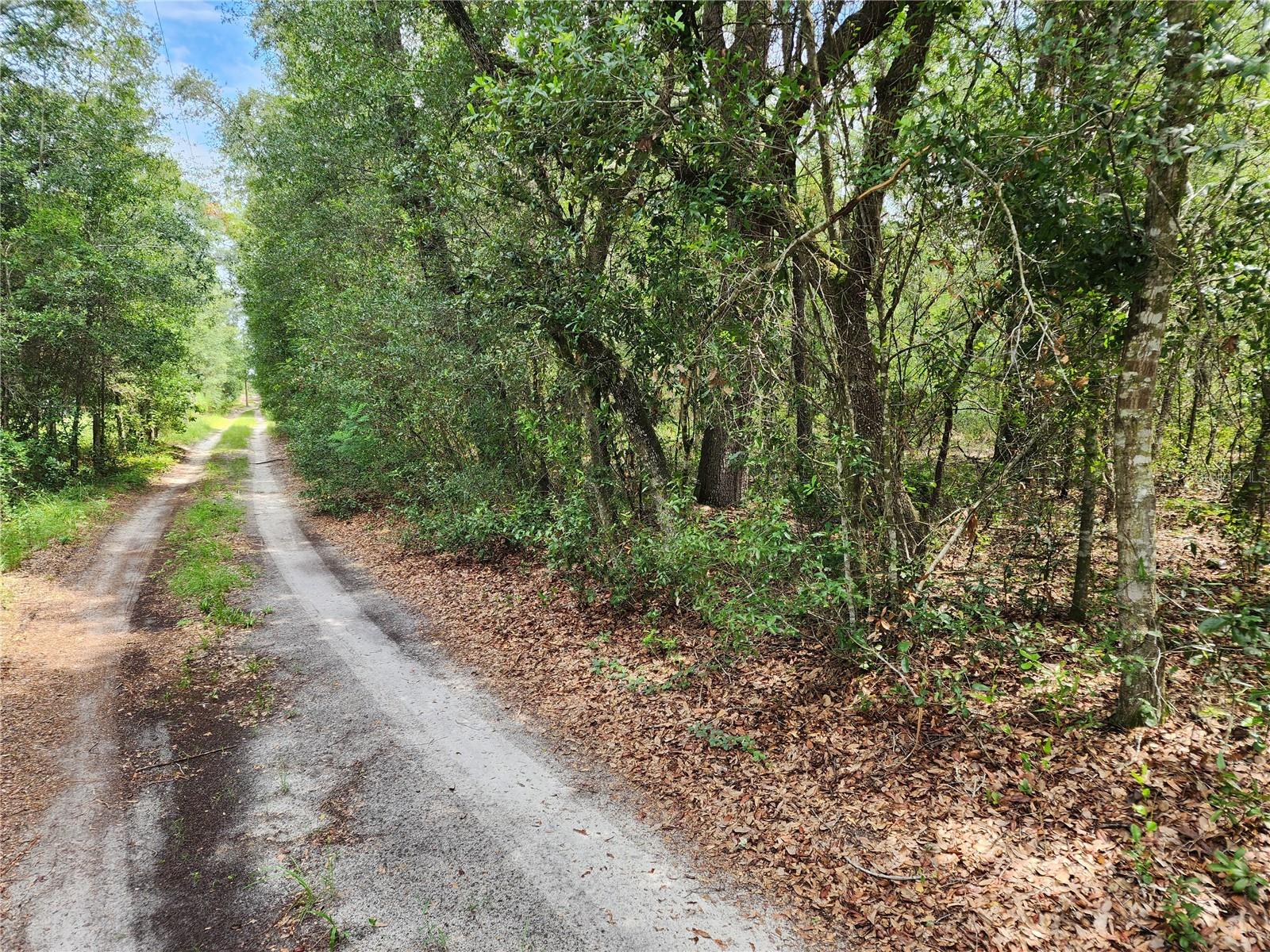 3rd image of 10920 Sw 105Th St, Ocala, FL 34481 | MLS# OM729673