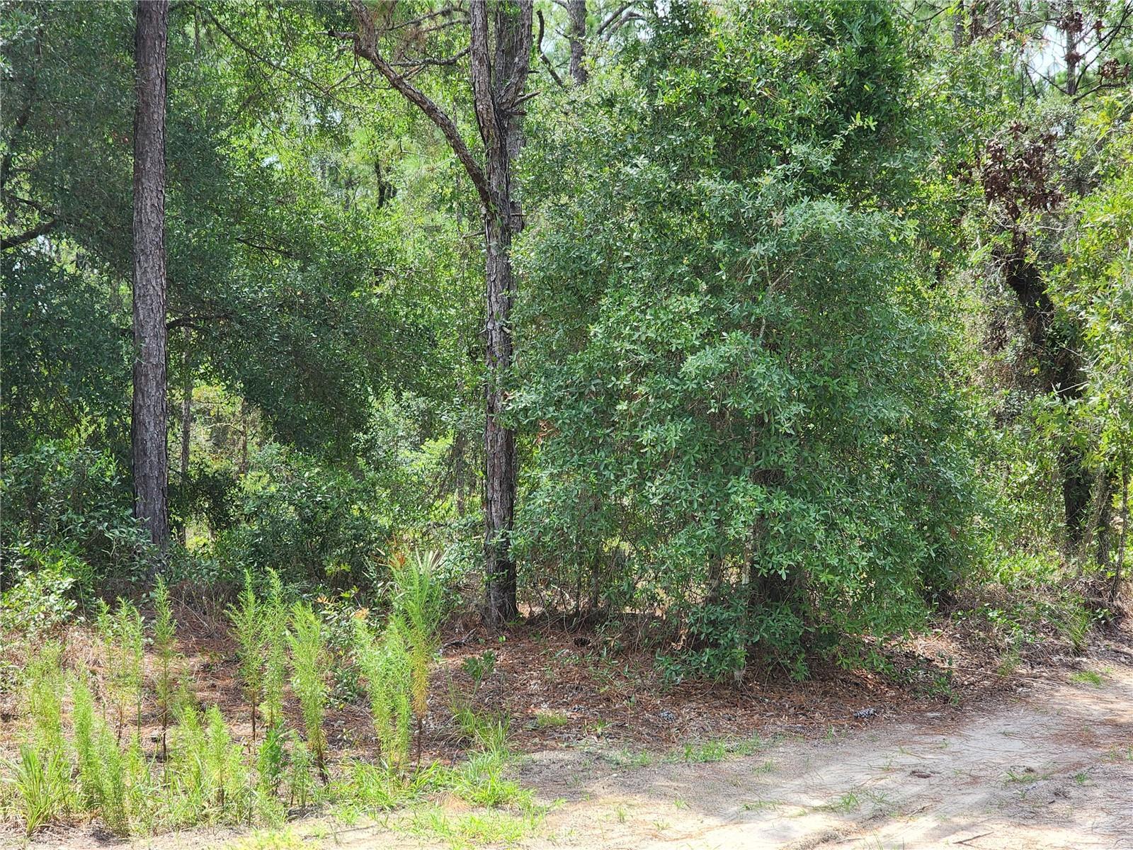 4th image of 10920 Sw 105Th St, Ocala, FL 34481 | MLS# OM729673
