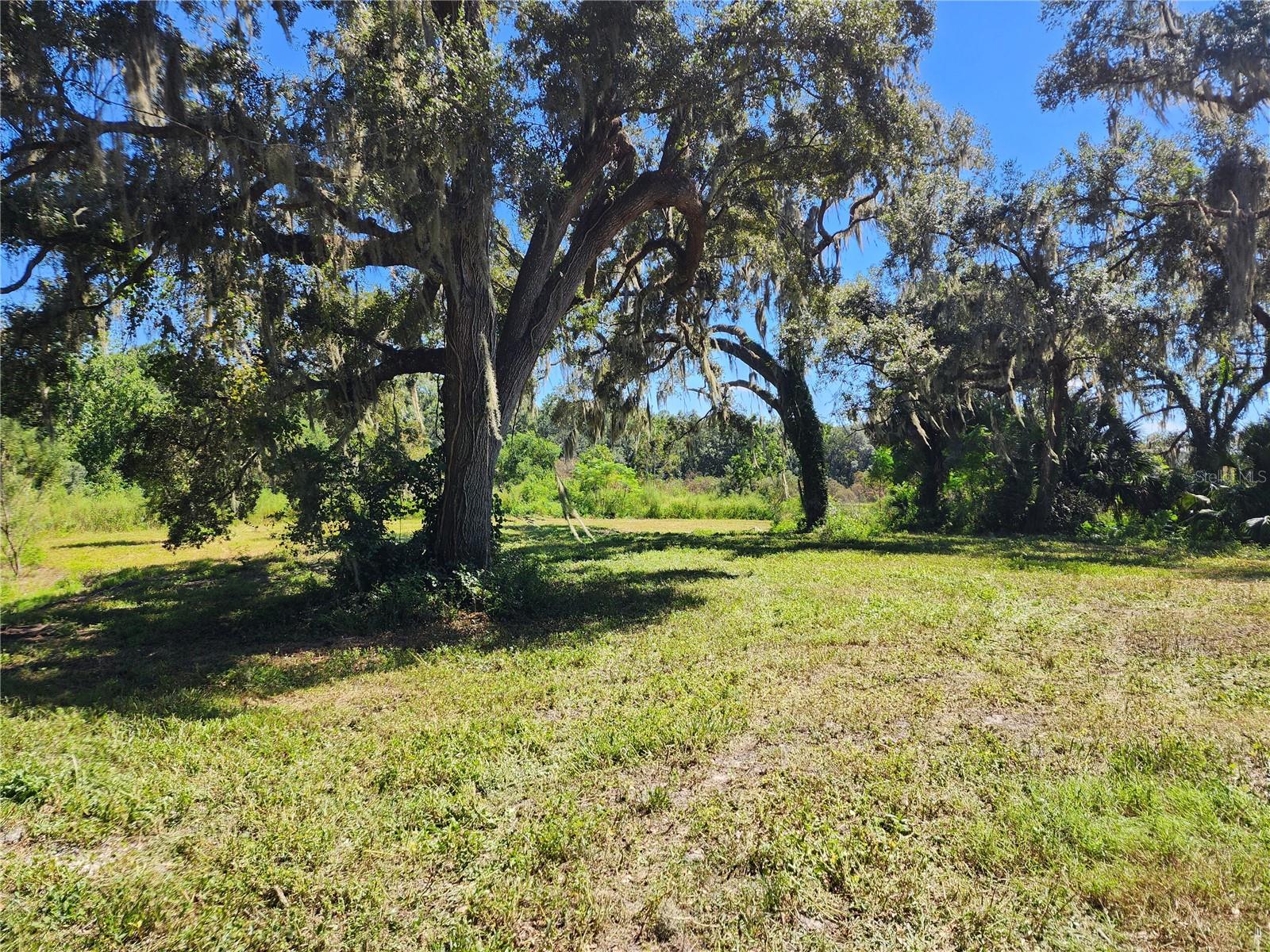 6th image of 7670 Nw 137th Ave, Morriston, FL 32668 | MLS# O6430267