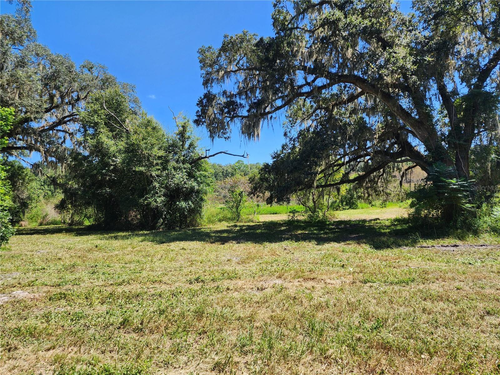 4th image of 7670 Nw 137Th Ave, Morriston, FL 32668 | MLS# O6430267