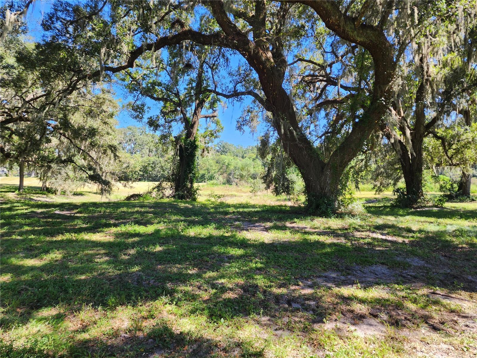 1st image of 7670 Nw 137th Ave, Morriston, FL 32668 | MLS# O6430267