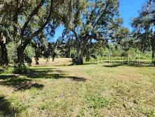 5th image of 7670 Nw 137Th Ave, Morriston, FL 32668 | MLS# O6430267