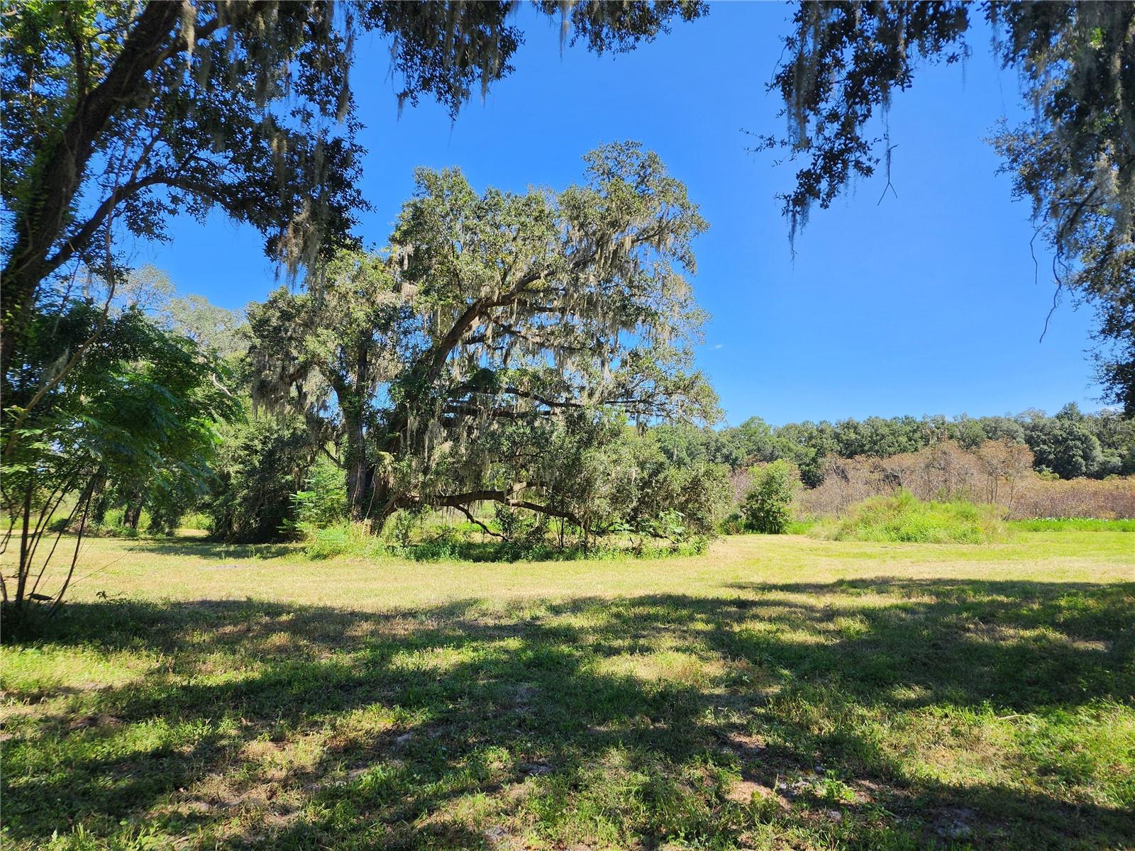 3rd image of 7670 Nw 137Th Ave, Morriston, FL 32668 | MLS# O6430267