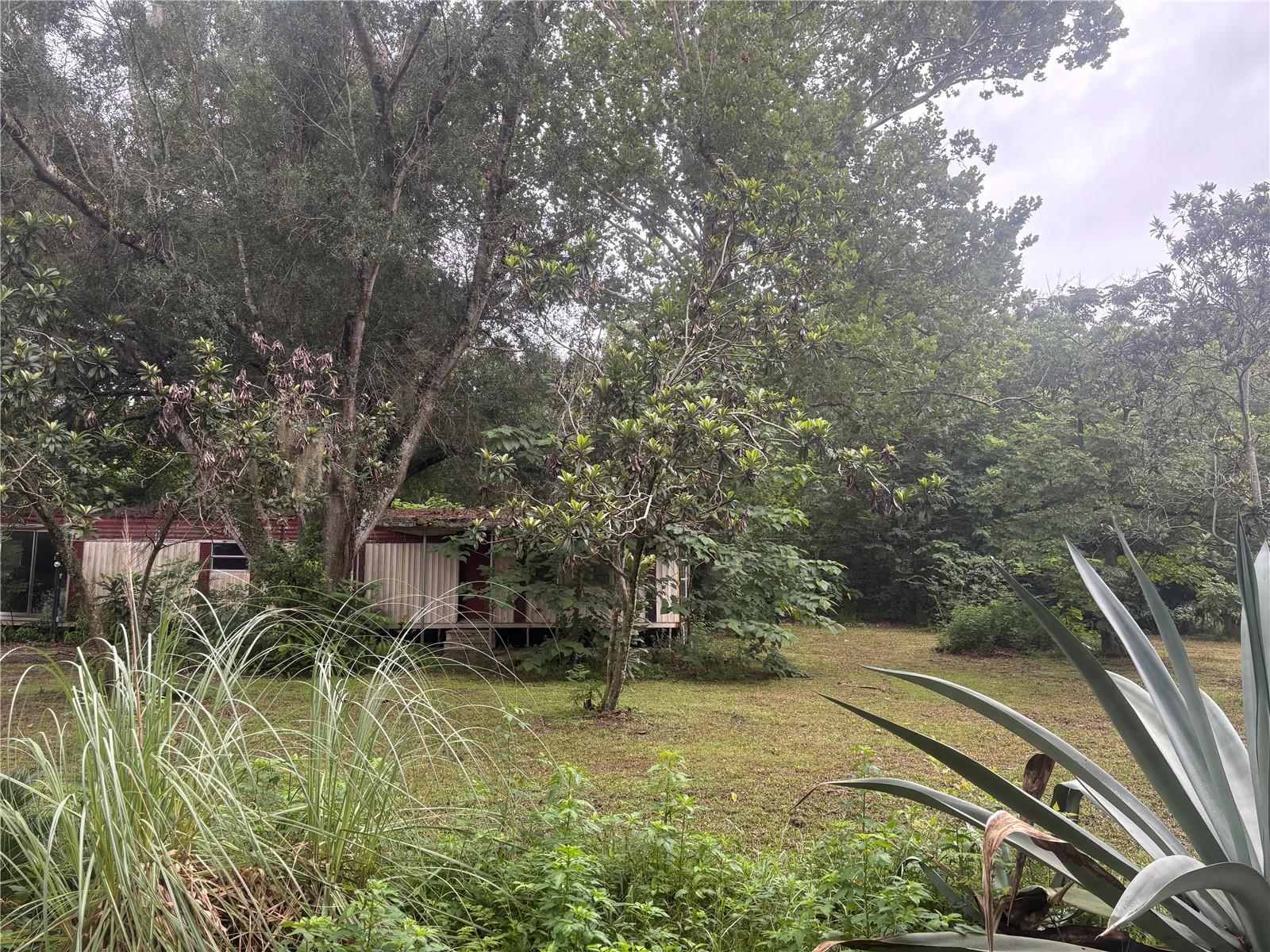 2nd image of 9200 Cr 205b, Wildwood, FL 34785 | MLS# G5116000