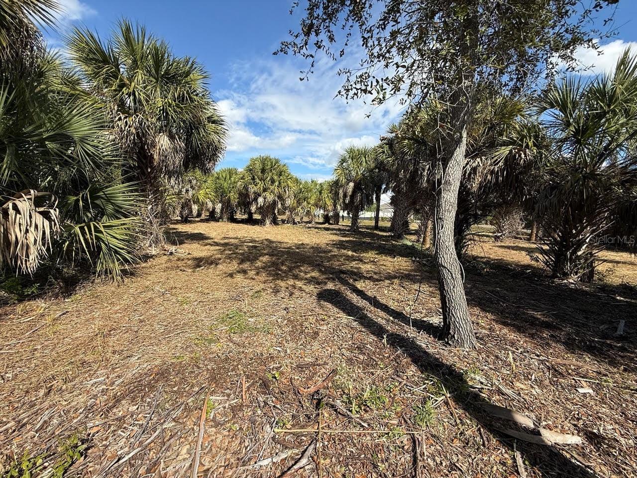 3rd image of 25360 Fortran Dr, Punta Gorda, FL 33950 | MLS# C7529163