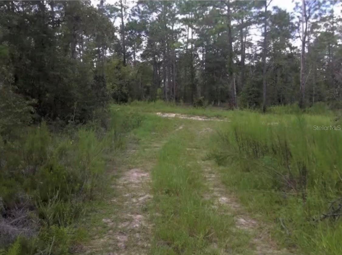 1st image of 25th Pl Lot 16 Sw 25th Pl, Ocala, FL 34481 | MLS# S5154966