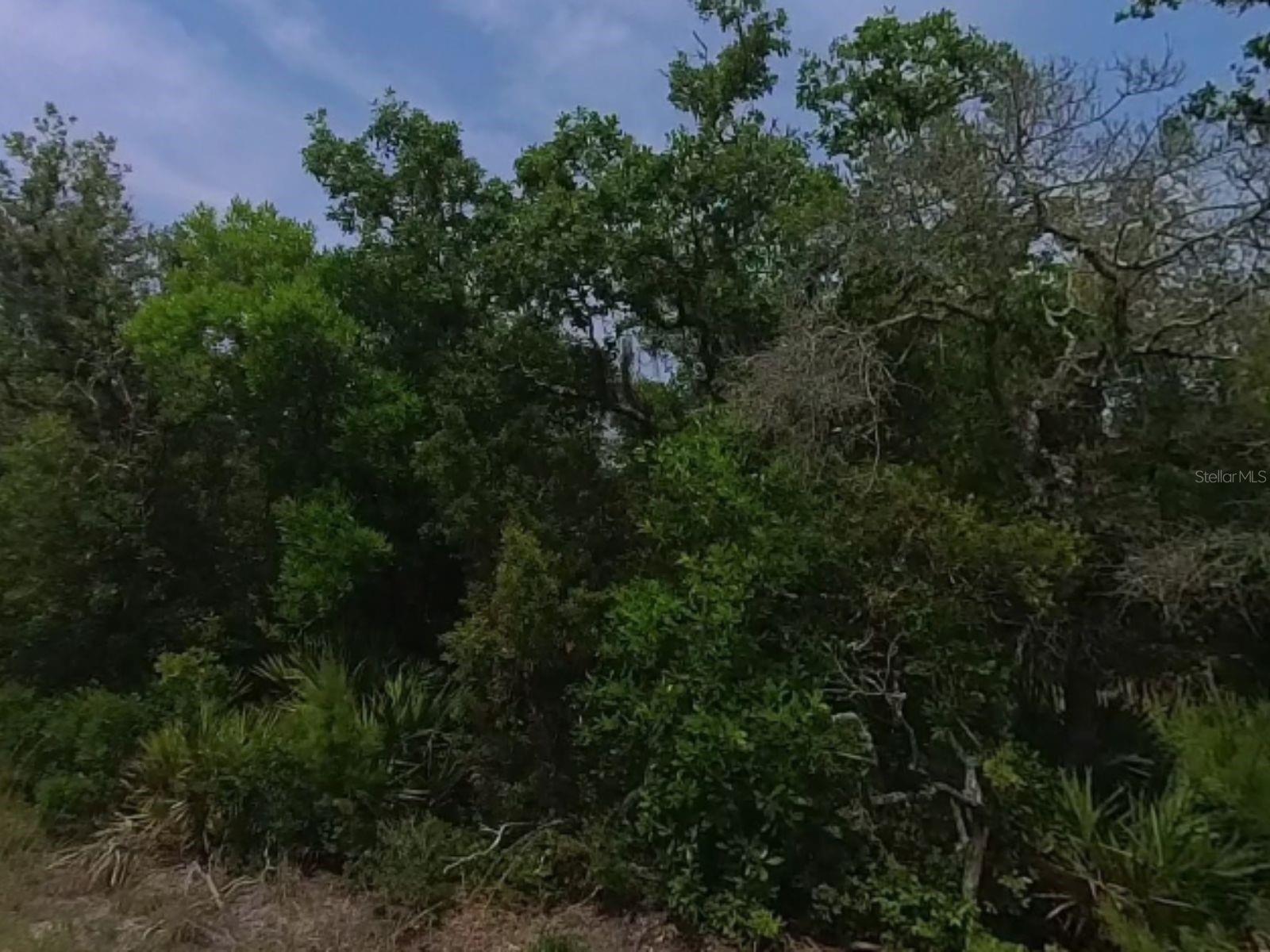 4th image of 0 Riegel (Paper) Ave, Orange City, FL 32763 | MLS# S5154987