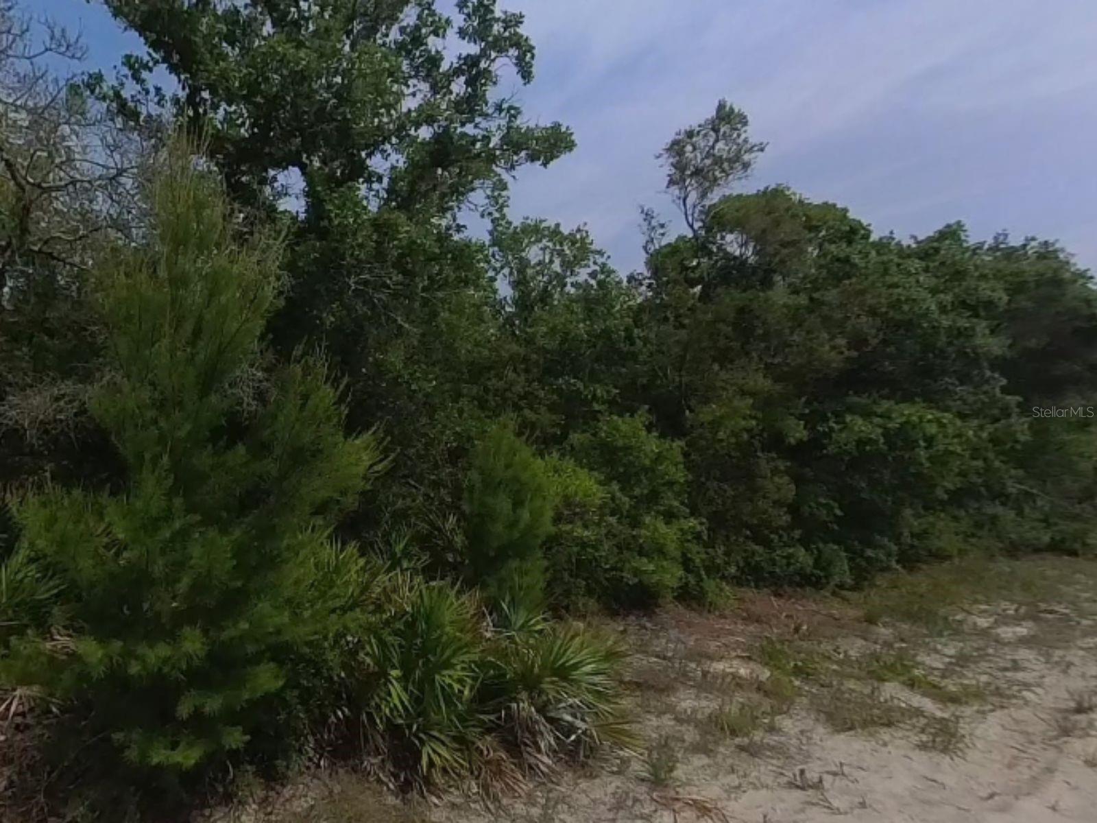 3rd image of 0 Riegel (Paper) Ave, Orange City, FL 32763 | MLS# S5154987