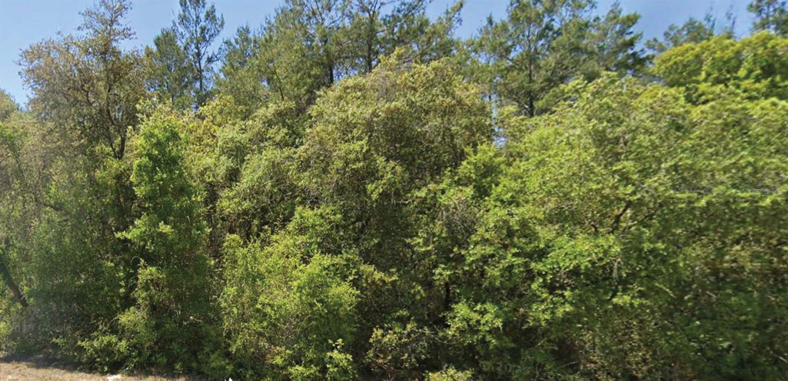 1st image of 0 Se 309 Ave, Altoona, FL 32702 | MLS# O6430701
