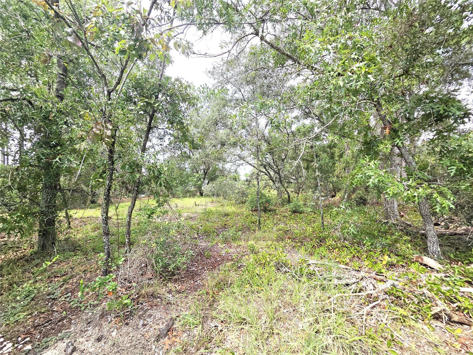 3rd image of 13106 Scottville St, Spring Hill, FL 34609 | MLS# TB8535846