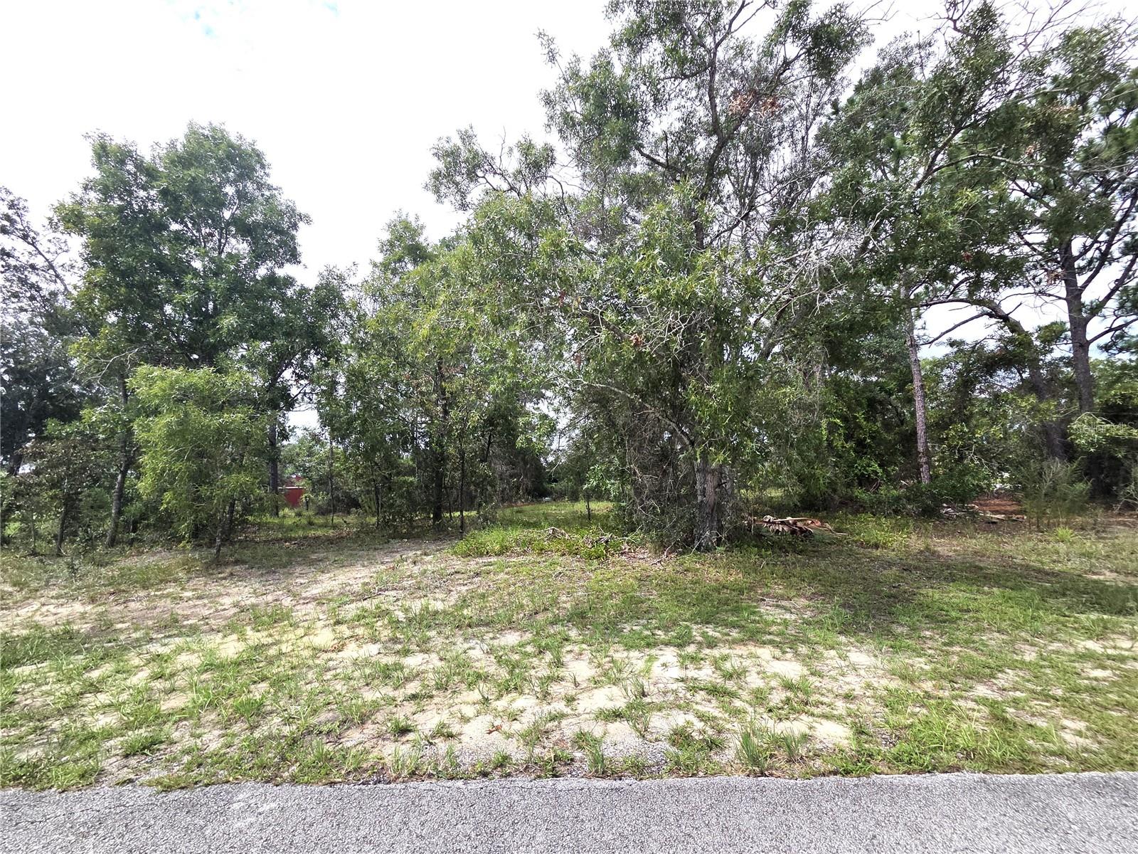 4th image of 13106 Scottville St, Spring Hill, FL 34609 | MLS# TB8535846