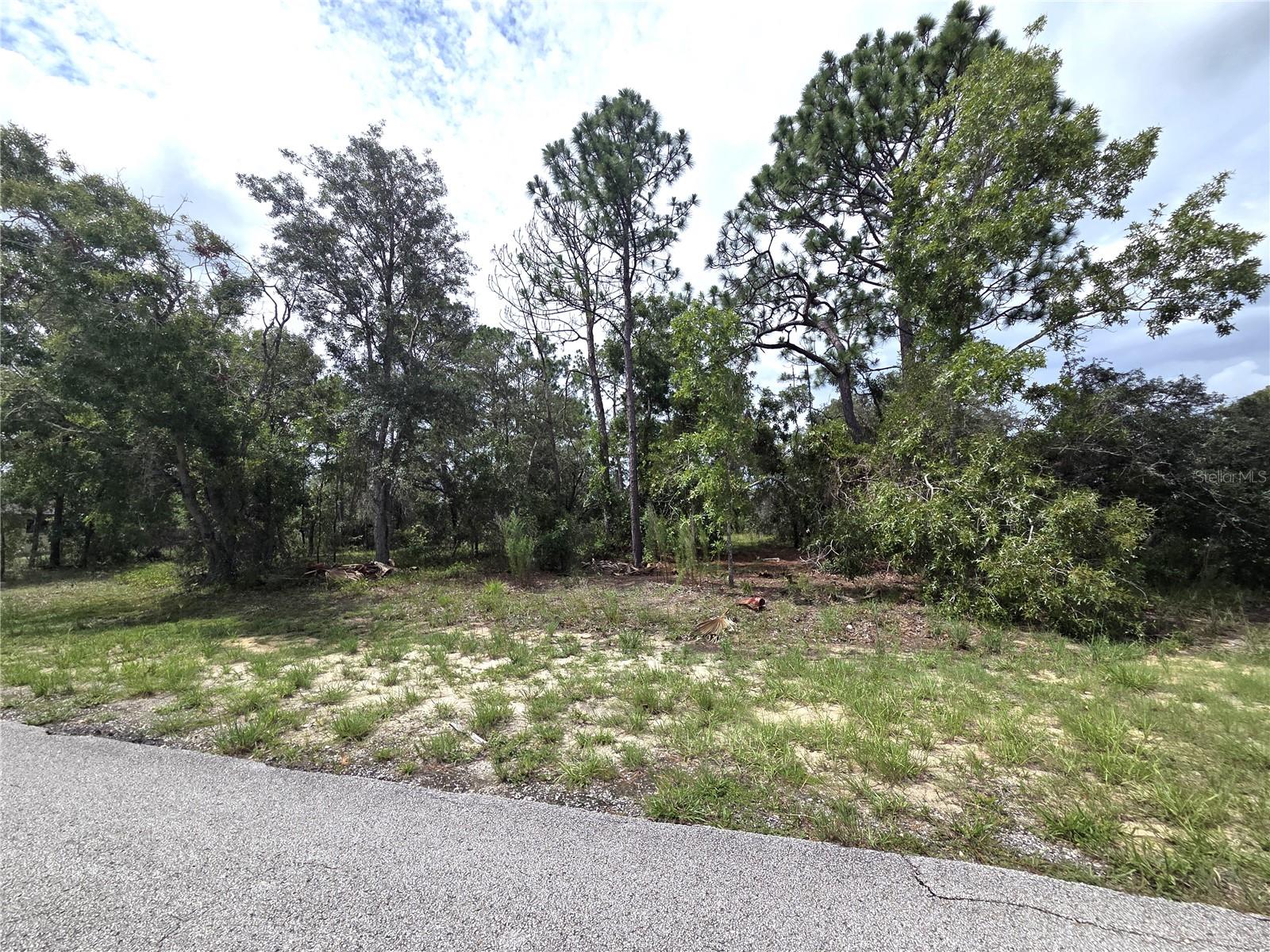 5th image of 13106 Scottville St, Spring Hill, FL 34609 | MLS# TB8535846