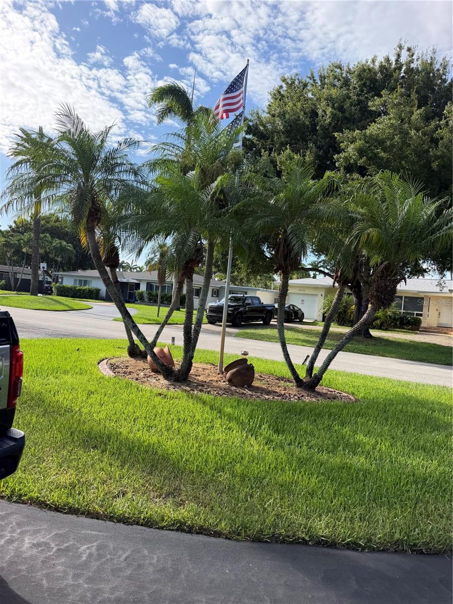 4th image of 3230 Harrison St, Hollywood, FL 33021 | MLS# TB8535965