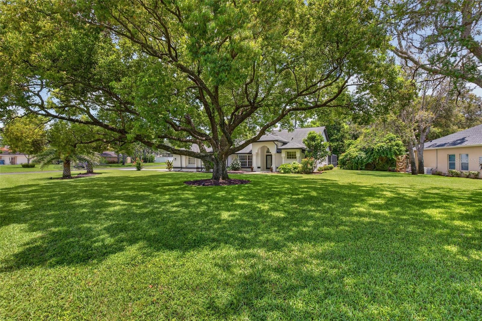 5th image of 4334 Dottie Ct, Spring Hill, FL 34607 | MLS# W7888295