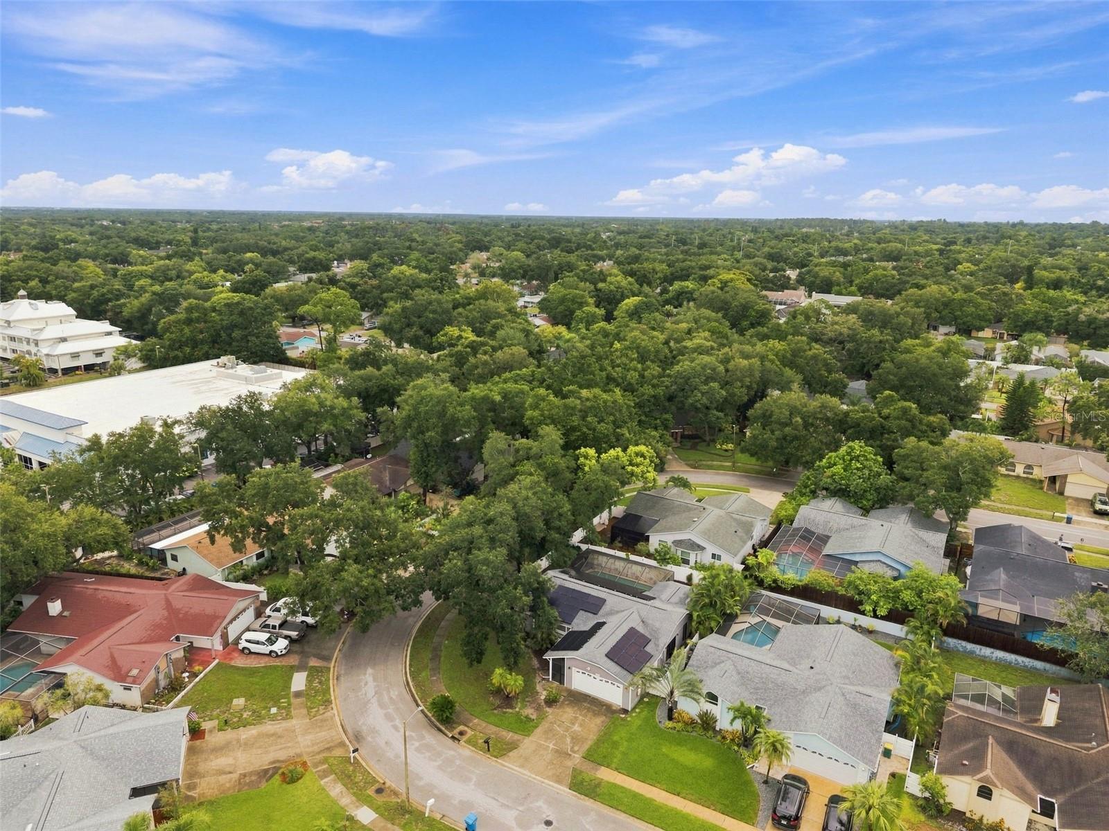 70th image of 2475 Gulfbreeze Cir, Palm Harbor, FL 34683 | MLS# W7888304
