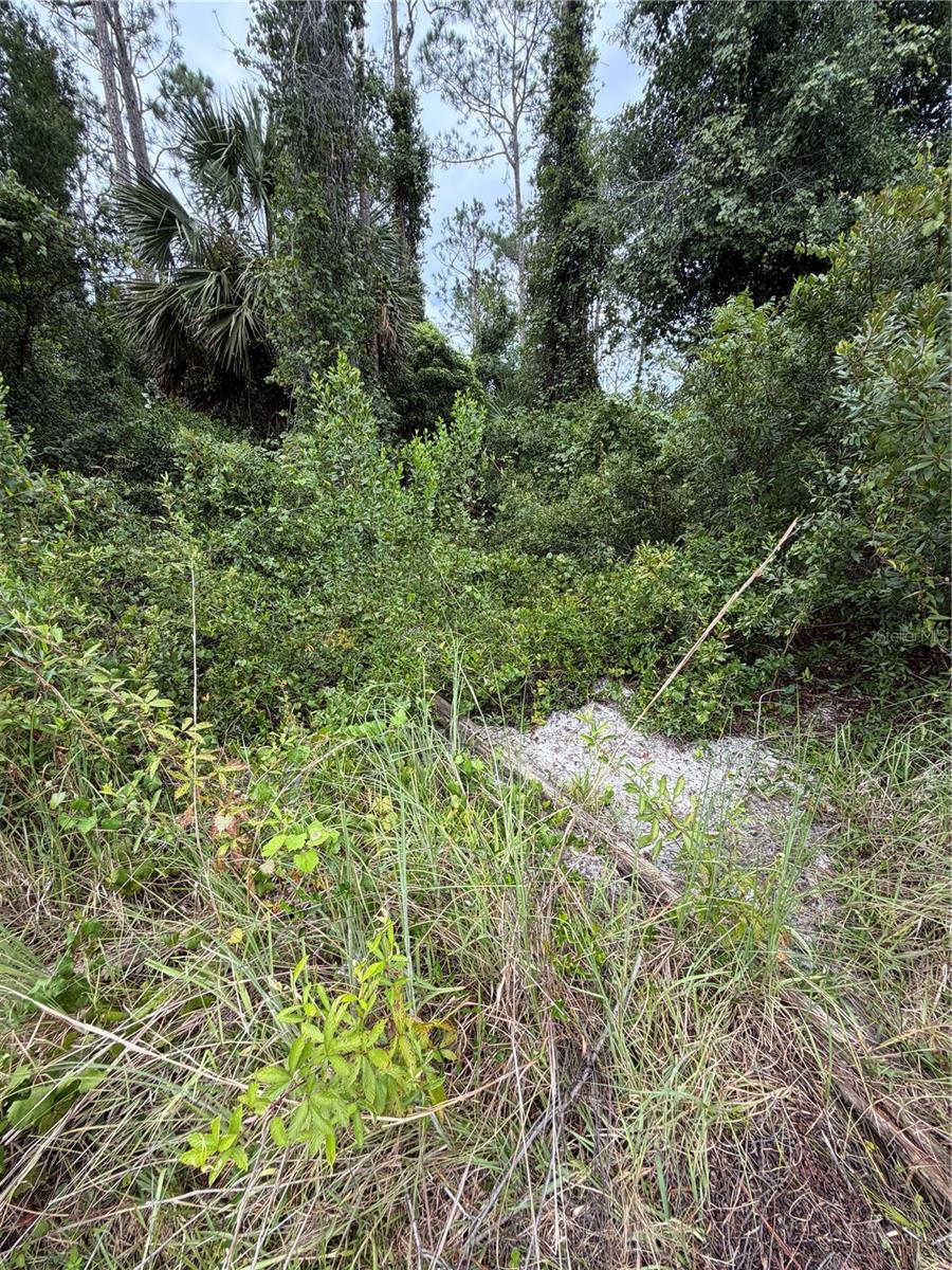 5th image of 1 Kashgar Ct, Palm Coast, FL 32164 | MLS# FC320490