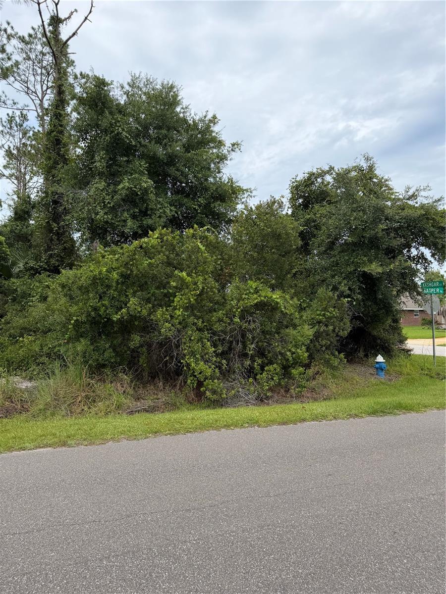 4th image of 1 Kashgar Ct, Palm Coast, FL 32164 | MLS# FC320490