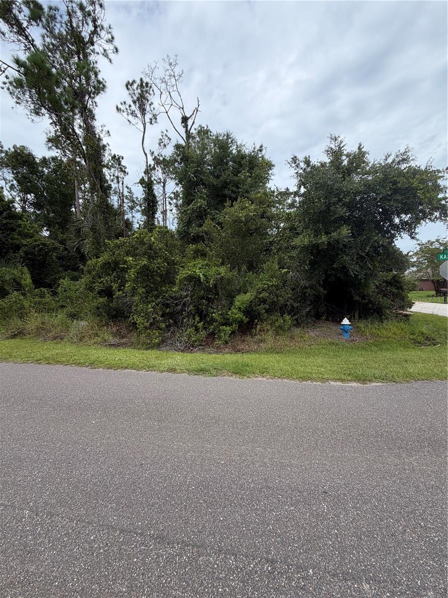 8th image of 1 Kashgar Ct, Palm Coast, FL 32164 | MLS# FC320490