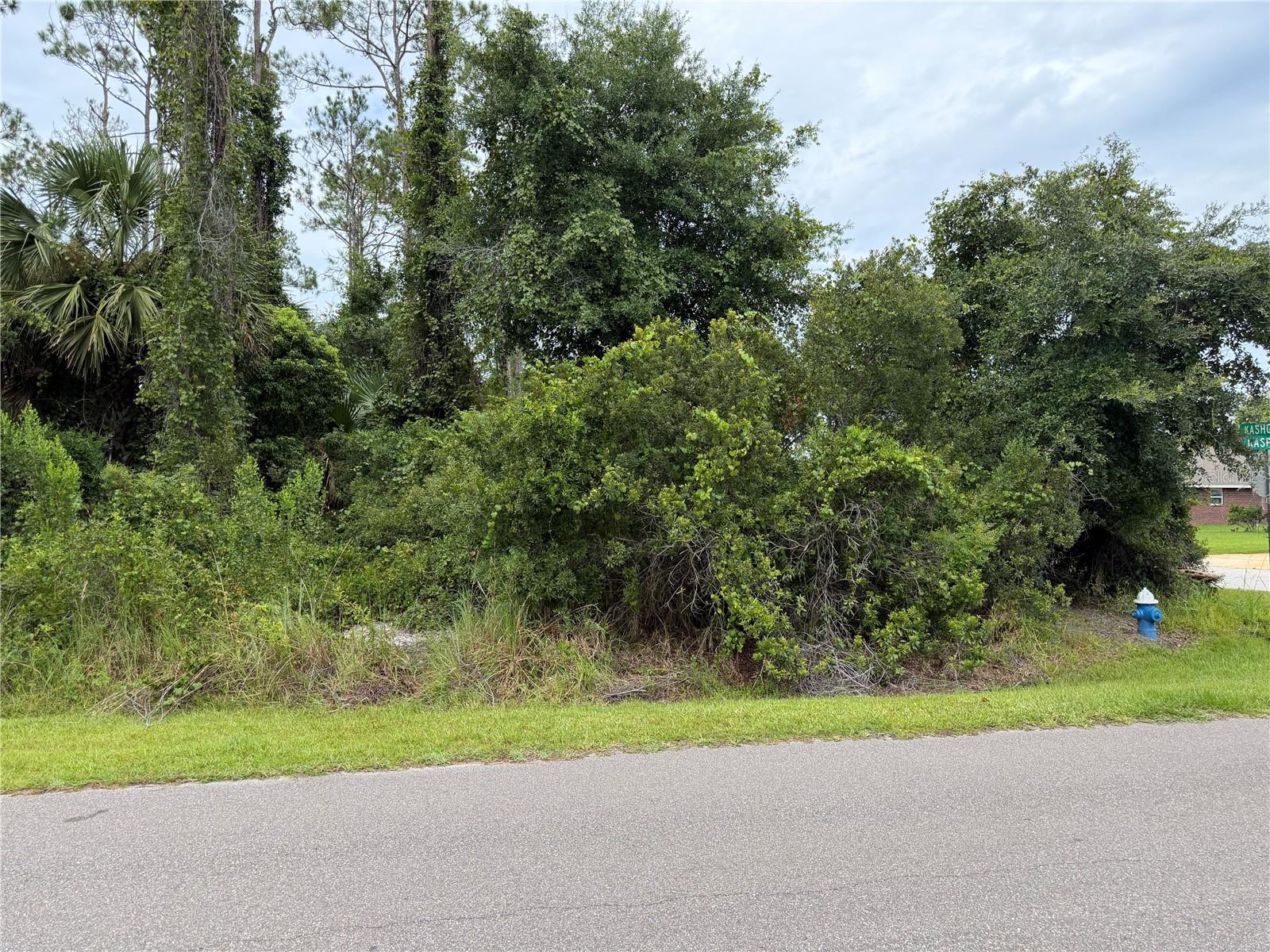 1st image of 1 Kashgar Ct, Palm Coast, FL 32164 | MLS# FC320490