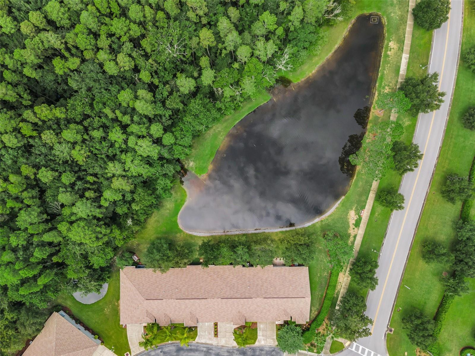 3rd image of 1553 Arlington Oaks Ct, Trinity, FL 34655 | MLS# W7888332