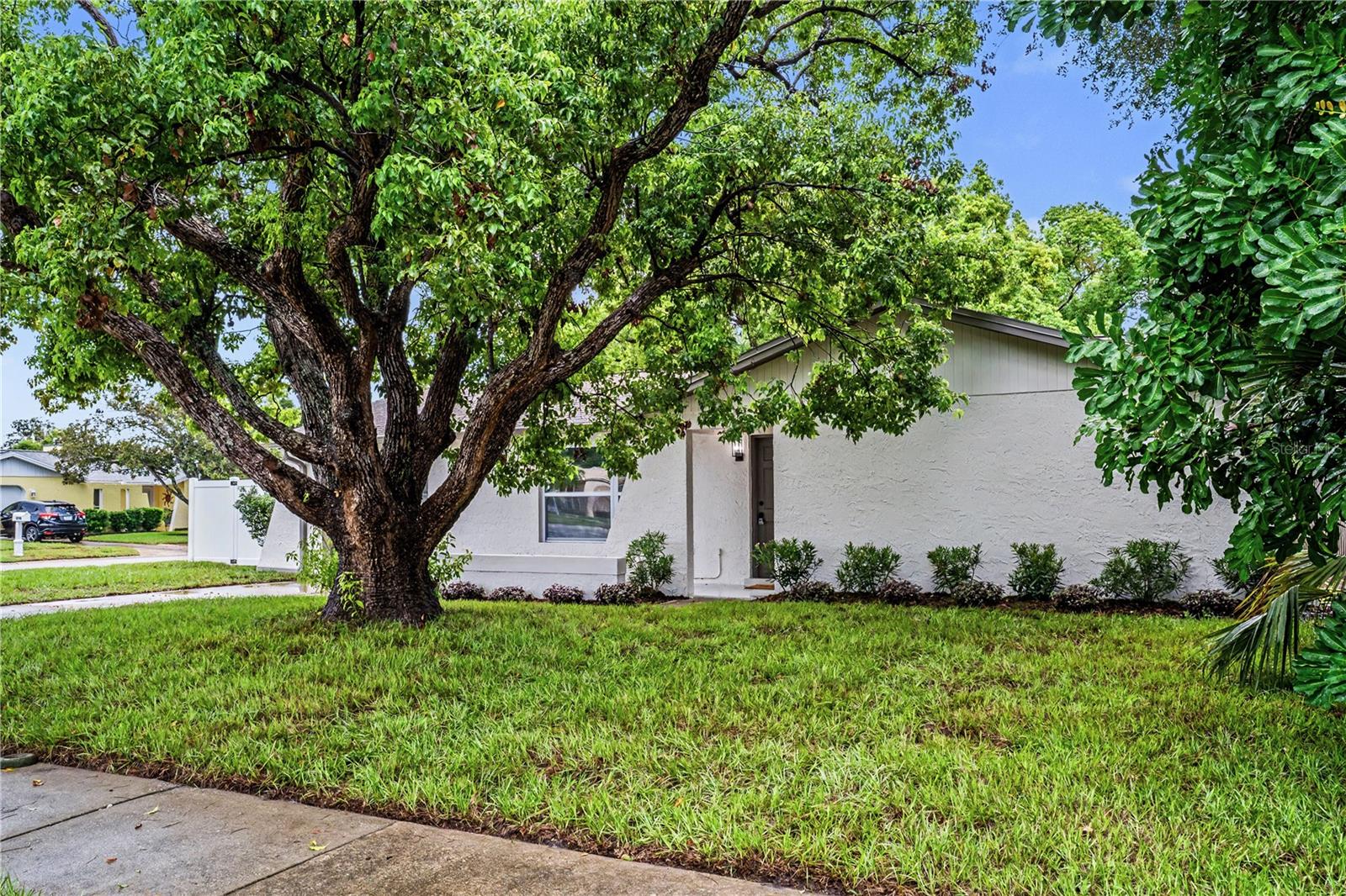 3rd image of 11928 Temple Ct, Seminole, FL 33772 | MLS# TB8536845