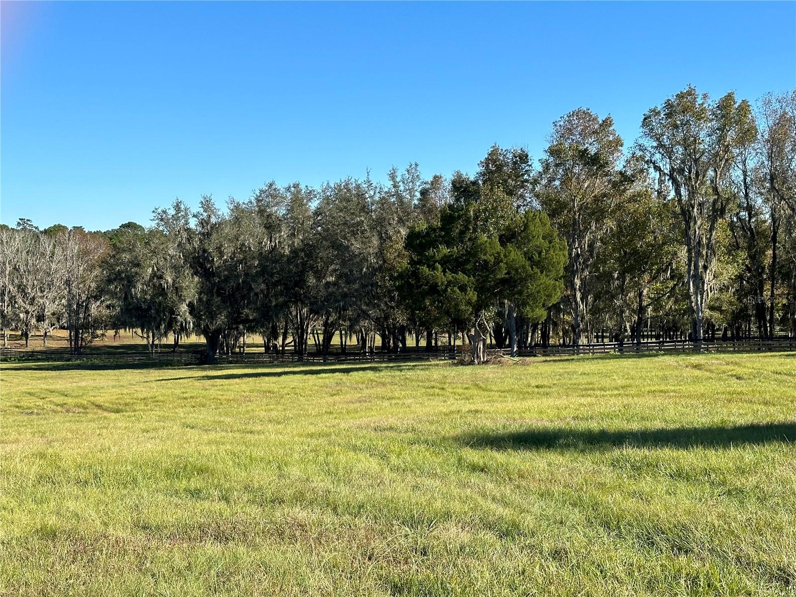 1st image of Tbd Hwy 329, Reddick, FL 32686 | MLS# OM729974