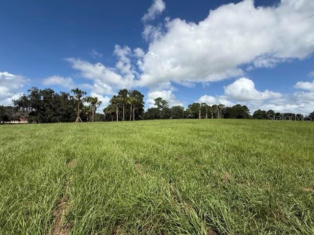 5th image of Tbd Hwy 329, Reddick, FL 32686 | MLS# OM729974