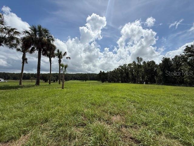 4th image of Tbd Hwy 329, Reddick, FL 32686 | MLS# OM729974