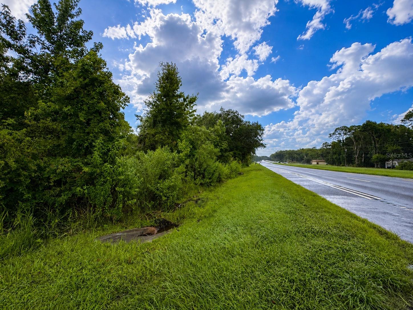 1st image of 12002 Hwy 441 S, Micanopy, FL 32667 | MLS# GC542617