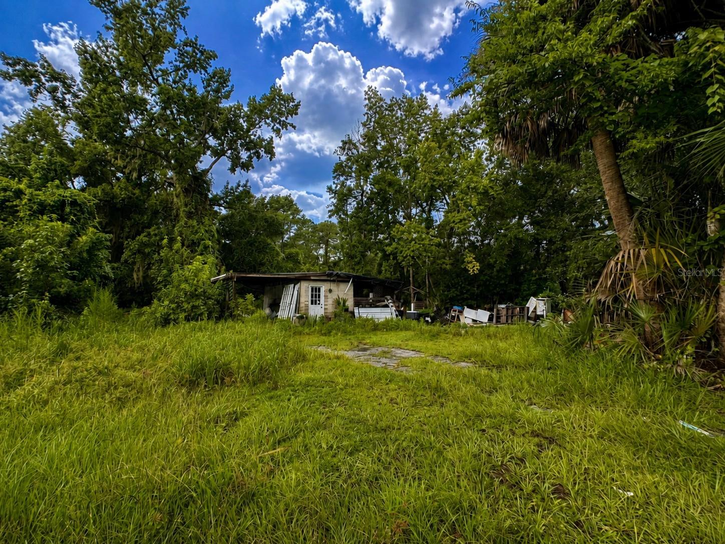 4th image of 12002 Hwy 441 S, Micanopy, FL 32667 | MLS# GC542617