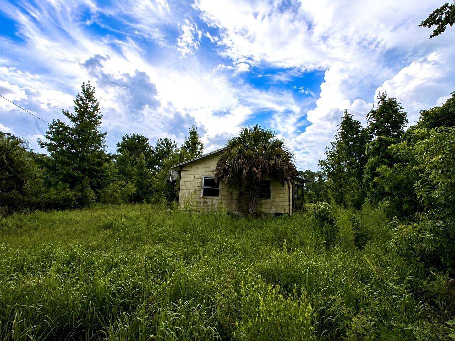 5th image of 12002 Hwy 441 S, Micanopy, FL 32667 | MLS# GC542617