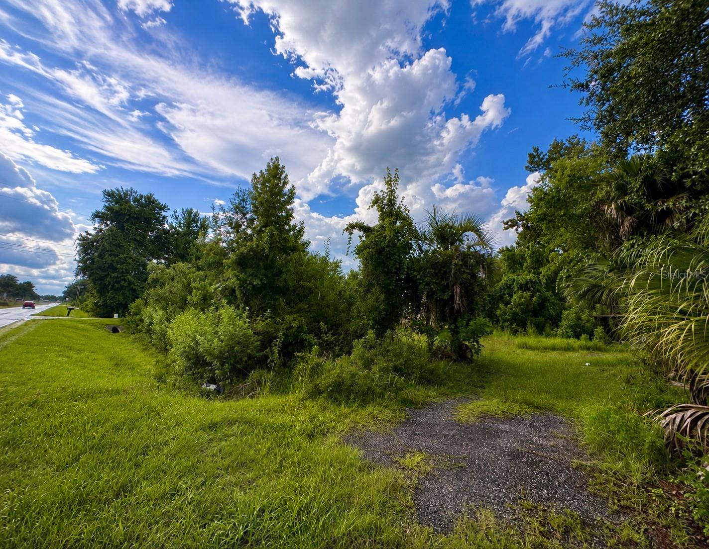 3rd image of 12002 Hwy 441 S, Micanopy, FL 32667 | MLS# GC542617
