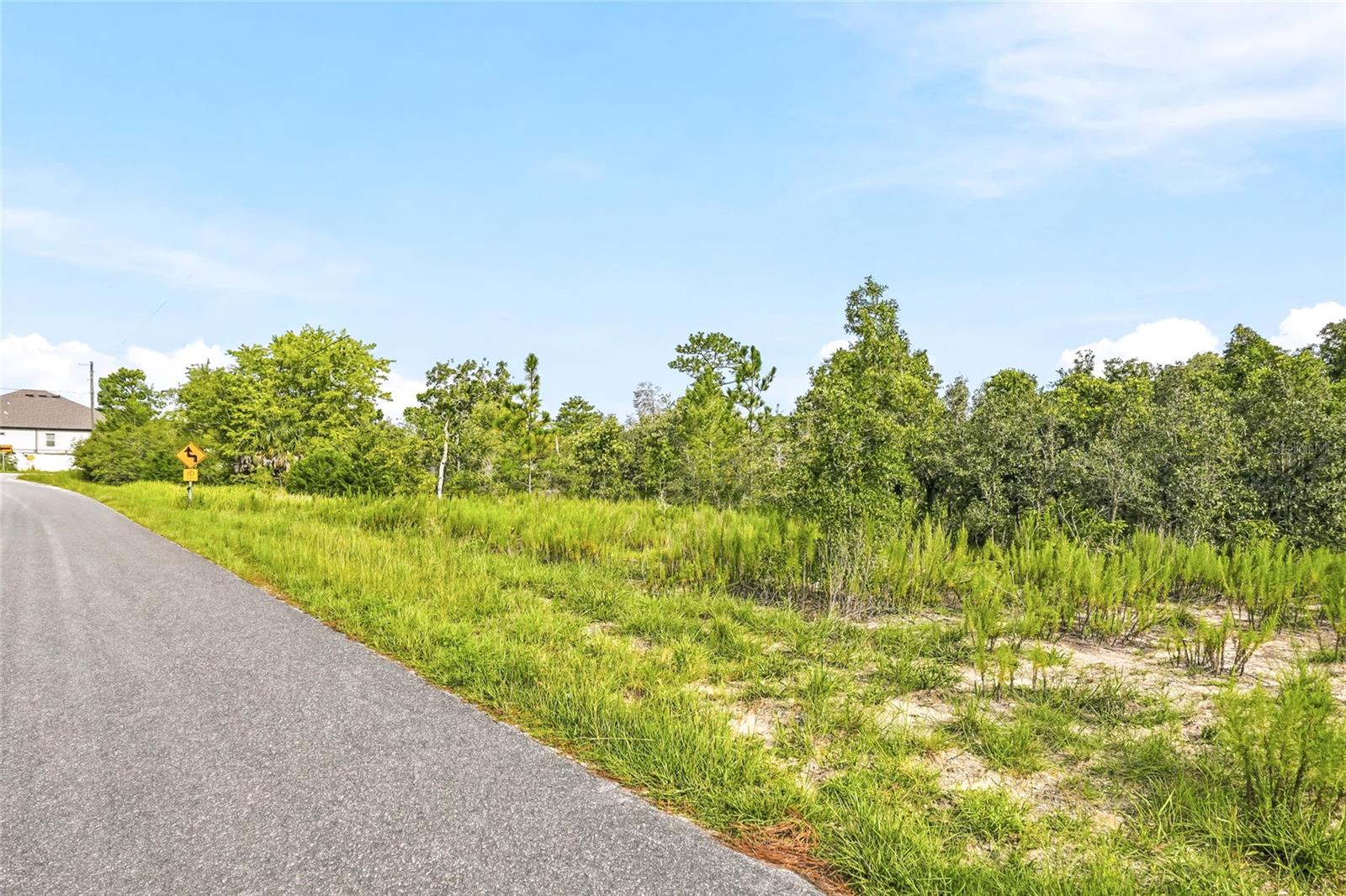 4th image of 0 Ester Dr, Brooksville, FL 34613 | MLS# W7888552