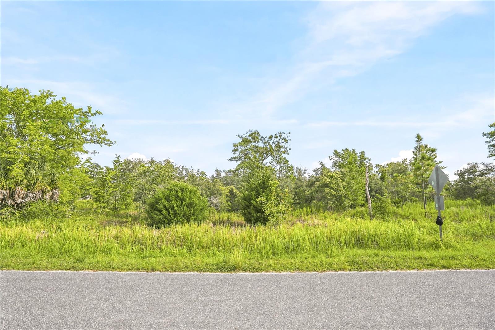 3rd image of 0 Ester Dr, Brooksville, FL 34613 | MLS# W7888552