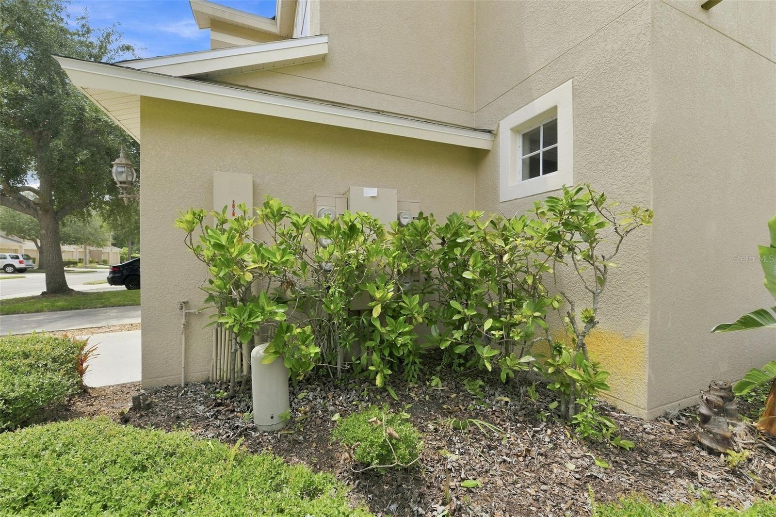 35th image of 2823 Conch Hollow Dr, Brandon, FL 33511 | MLS# O6434229