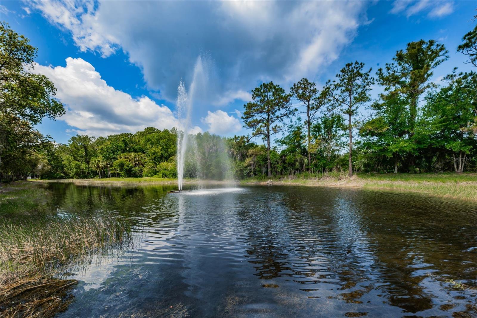 45th image of 802 Centerwood Dr, Tarpon Springs, FL 34688 | MLS# TB8540456