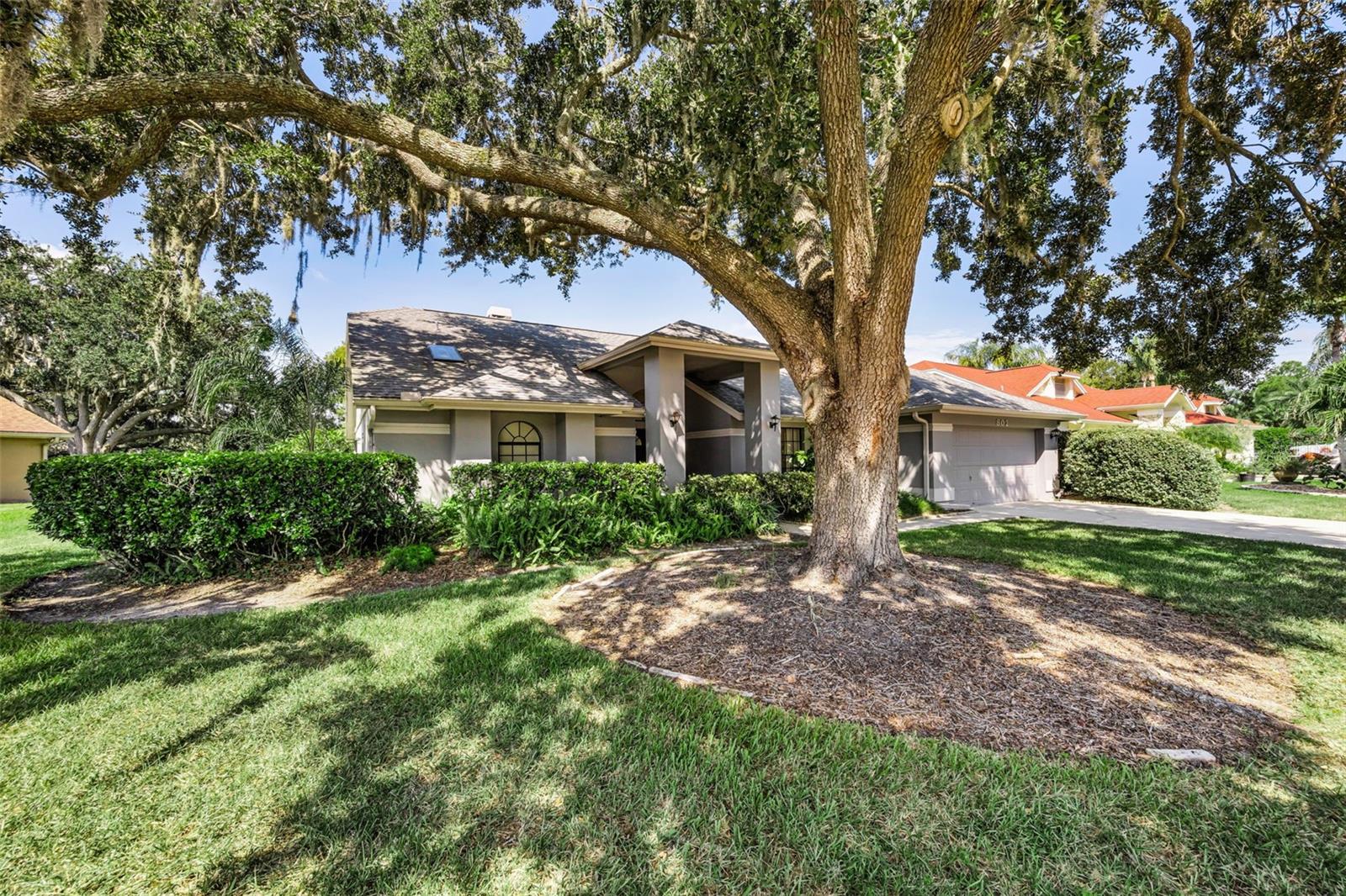 4th image of 802 Centerwood Dr, Tarpon Springs, FL 34688 | MLS# TB8540456