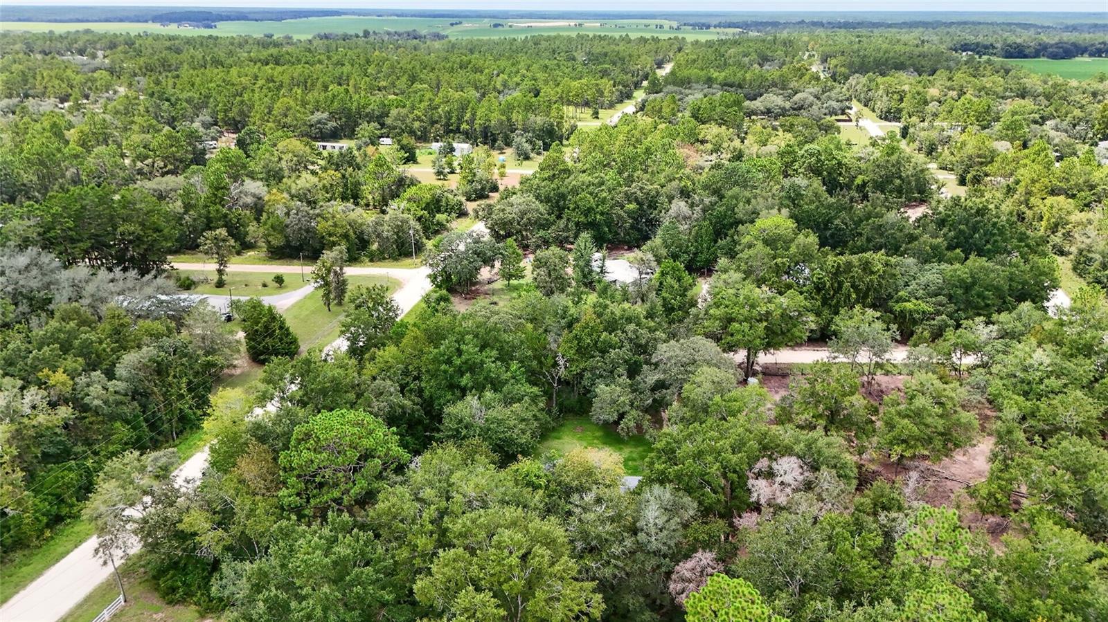 58th image of 13691 Ne 8th St, Williston, FL 32696 | MLS# GC542878