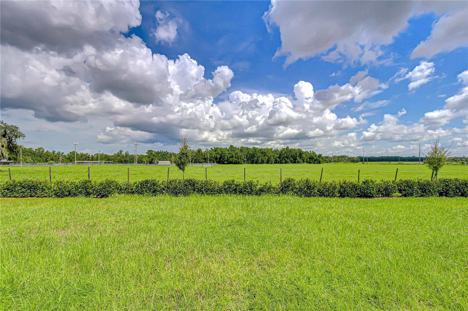 28th image of 7917 Peace Lily Ave, Wesley Chapel, FL 33545 | MLS# TB8540869