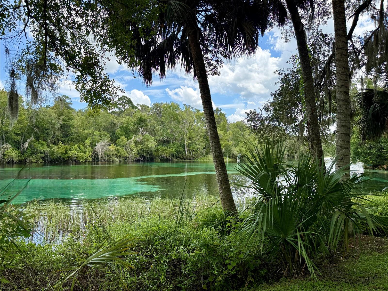 3rd image of Sw 205Th Circle, Dunnellon, FL 34431 | MLS# O6435372
