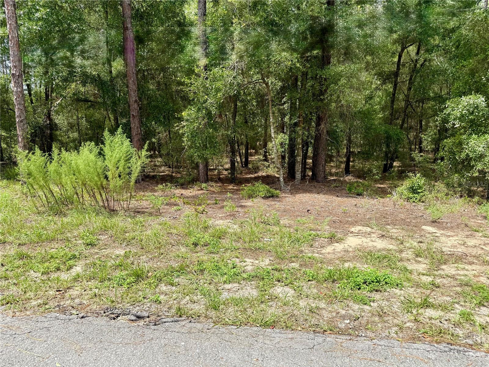 1st image of Sw 205th Circle, Dunnellon, FL 34431 | MLS# O6435372